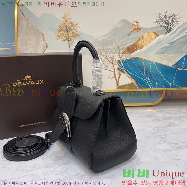 #���� �긮�ӹ� �̴� DV0020-6