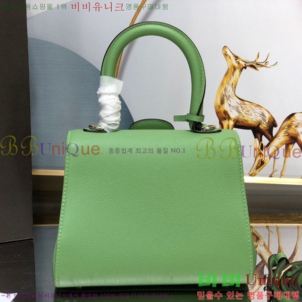 #���� �긮�ӹ� �̴� DV0020-13