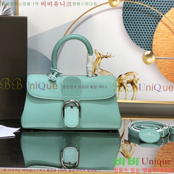 #���� �긮�ӹ� DS0028-10