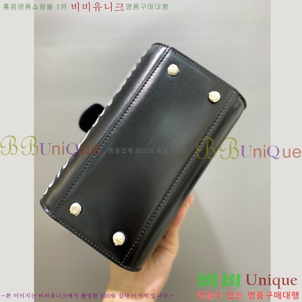 #���� �긮�ӹ� �̴� 114DV0020-101