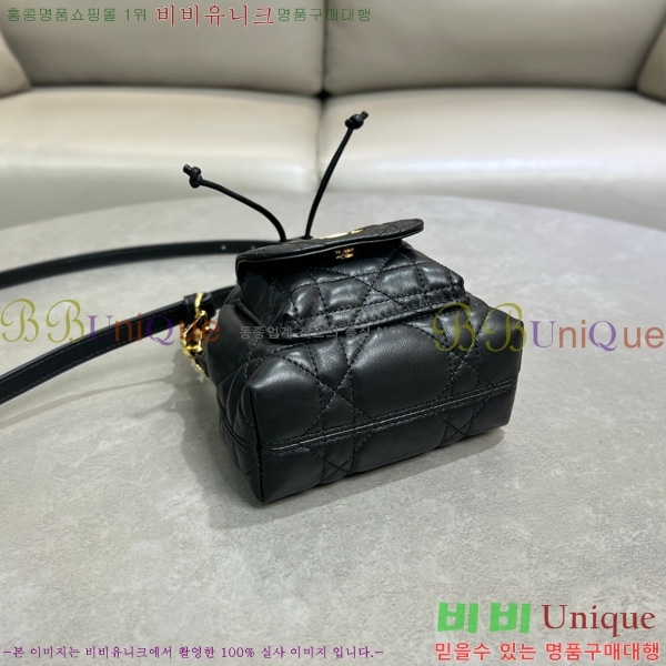 #��� ī�� ���� ��Ŷ�� S5250-100