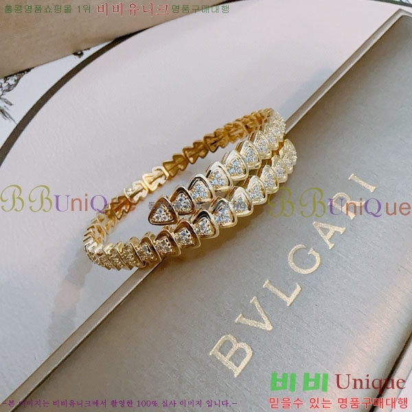 �Ұ��� ���� BVLG921129-1