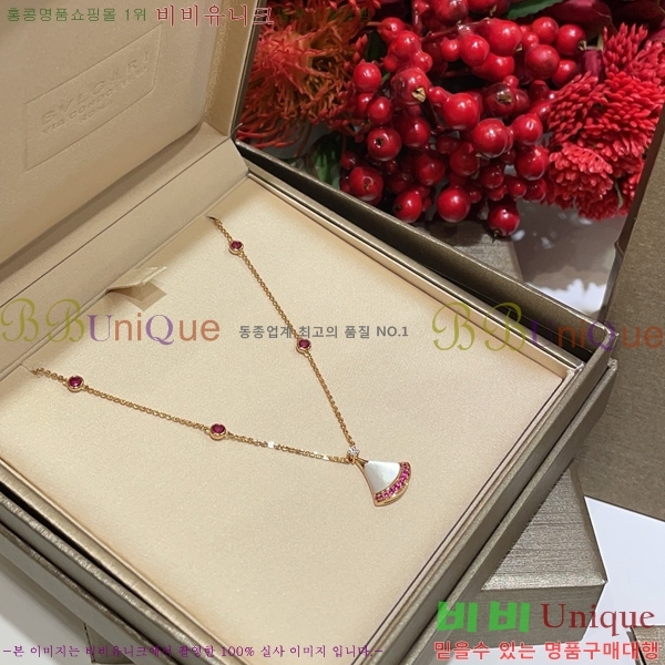 ���� �Ұ��� ����� BV1110123-5