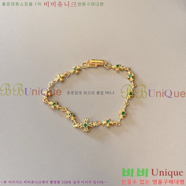 �������� ũ������ ���� CHS1099-4