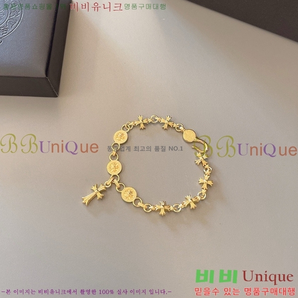 �������� ũ������ ���� CHS1099-11