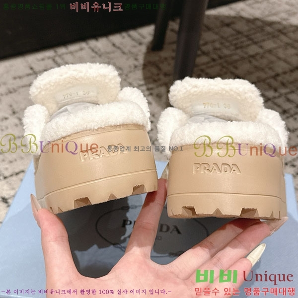 ���� ����� �� ������ P5560221-1