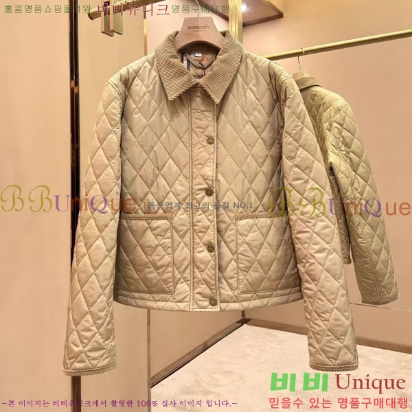 ���� ������ �淮 �е� BU438276