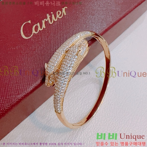 �������� ��쿡 ���� CA333520-2